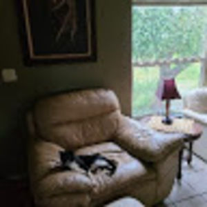 Meet your Posher, Roy